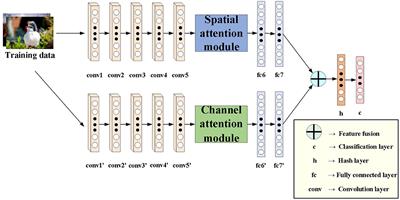 Dual Attention Triplet Hashing Network for Image Retrieval